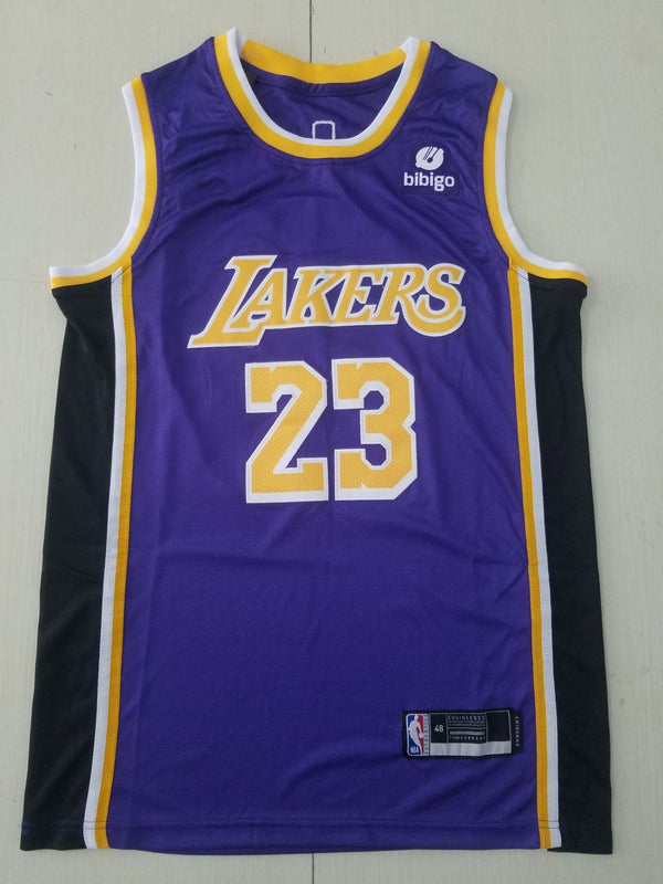 Men's Los Angeles Lakers LeBron James #23 NBA Purple Swingman Jersey