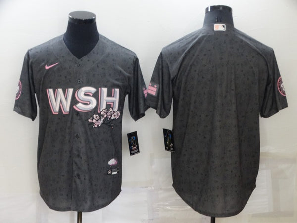 Men's Washington Nationals Gray City Connect Replica Blank Jersey